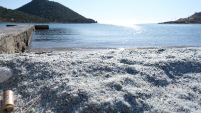 Mersin Çevre ve Doğa Derneği Başkanı Sabahat Aslan, Mersin kıyılarında giderek artan partikül plastik