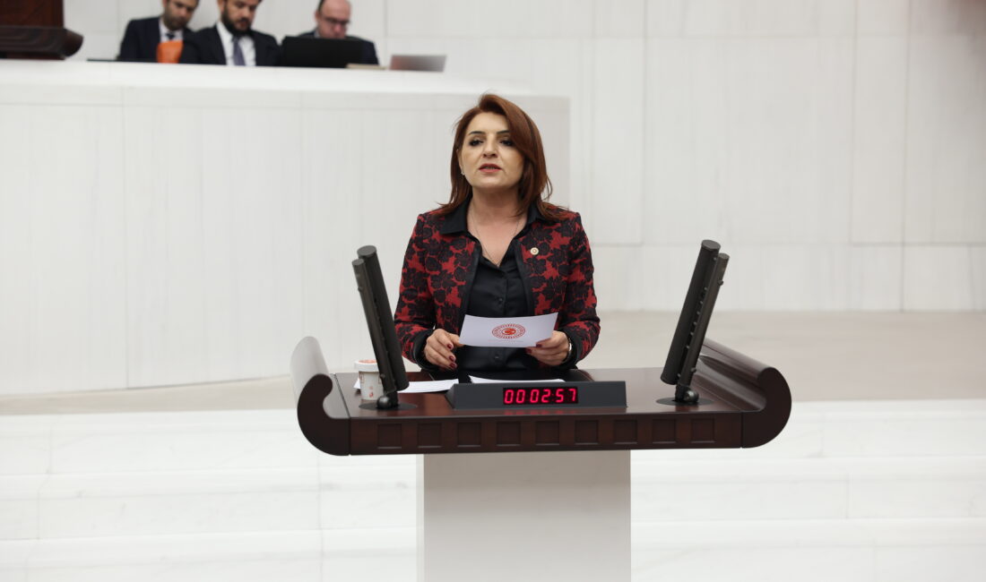 “14 KÖYÜN ORTASINA ÇİMENTO FABRİKASI DAYATIYORSUNUZ!” CHP Mersin Milletvekili Gülcan Kış, TBMM Genel Kurulu’nda Tarsus’ta kurulmak