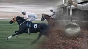 Mersin’de Tarım Müdürlüğü’nde Skandal İddiaları: Lojman Tartışması Bitmeden “At Eti” Gündemi! Mersin’de kamuoyunu sarsan iddialar giderek büyüyor. Mersin İl Tarım ve