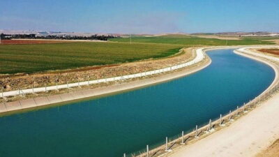 Türkiye Ziraat Odaları Birliği (TZOB) Genel Başkanı Şemsi Bayraktar, “Eski