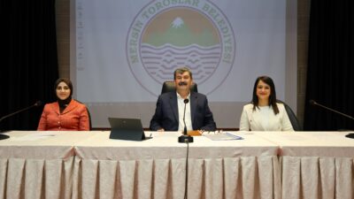 Toroslar Belediye Meclisi, düğün, özel gün ve kutlamalarda izinsiz havai