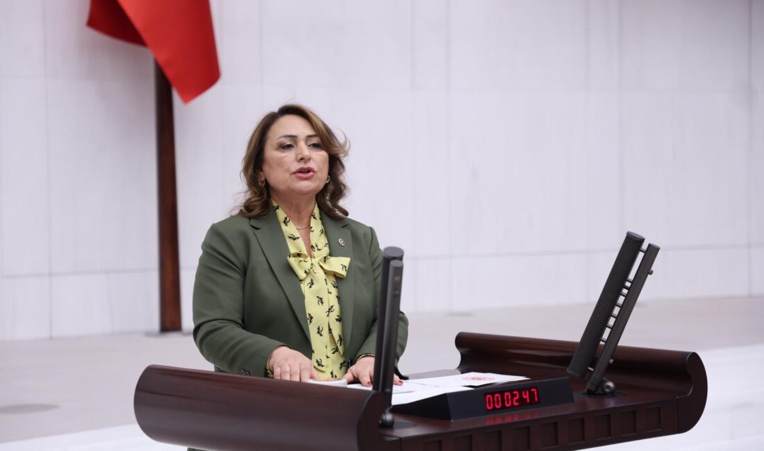 CHP Adana Milletvekili ve TBMM Başkanlık Divanı Üyesi Dr. Müzeyyen