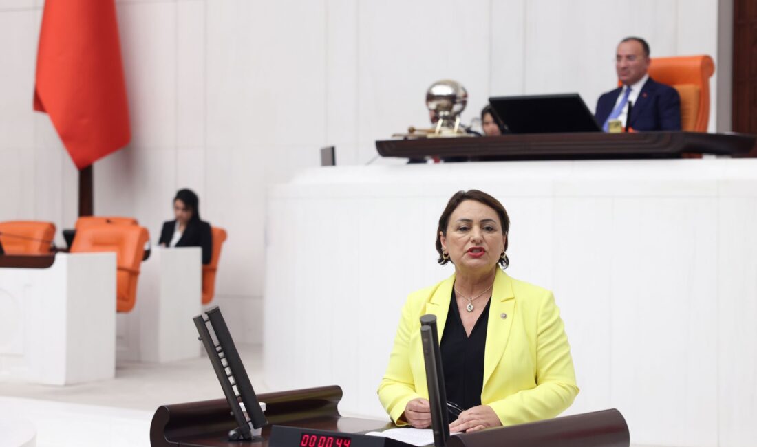 CHP Adana Milletvekili, TBMM Başkanlık Divanı Üyesi Dr. Müzeyyen Şevkin,