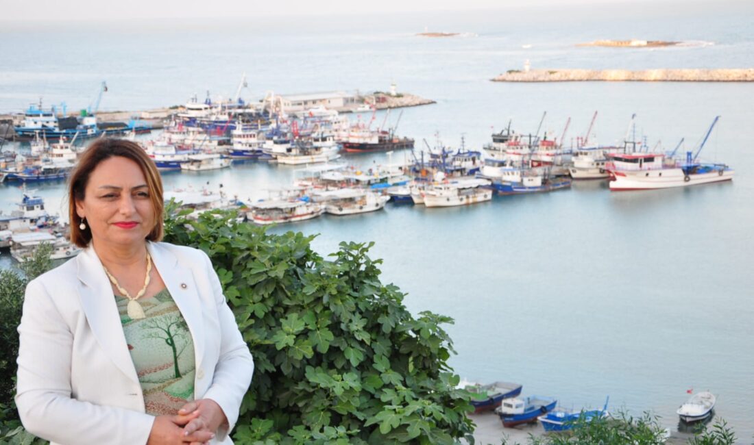 “Karataş’a müjde dediler, 2026 oldu hâlâ ses yok!” CHP Adana Milletvekili ve Türkiye Büyük Millet Meclisi Başkanlık Divanı