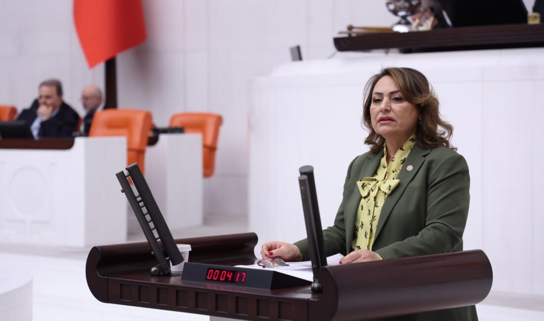  CHP Adana Milletvekili ve TBMM Başkanlık Divanı Üyesi Dr. Müzeyyen