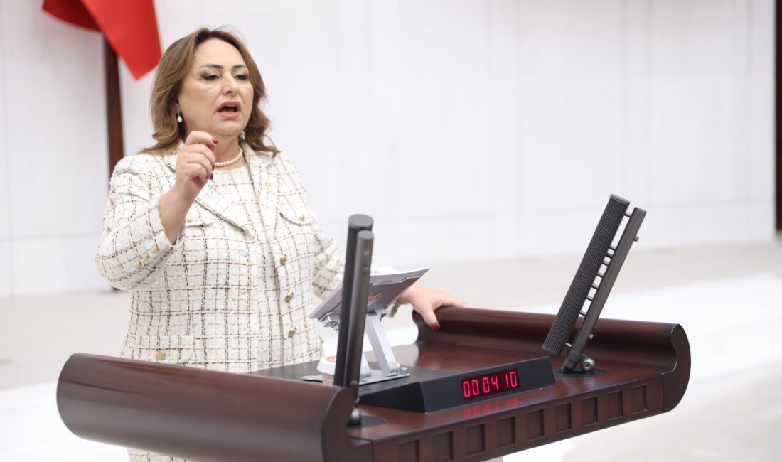  CHP Adana Milletvekili, TBMM Başkanlık Divanı Üyesi Dr. Müzeyyen Şevkin,