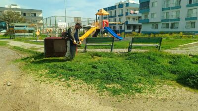 Mersin’in Akdeniz ilçesinde bahar aylarının gelişiyle birlikte yeşil alanlarda hummalı