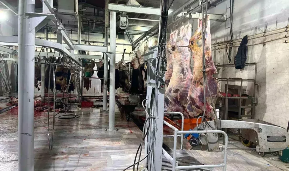 ‘MERSİN’DE KESİLEN HAYVANIN YÜZDE 90’I KAÇAK KESİLİYORMUŞ!’ Mersin’de et skandalı gündemde kalmaya devam ediyor. Mersin’deki et sektörünün