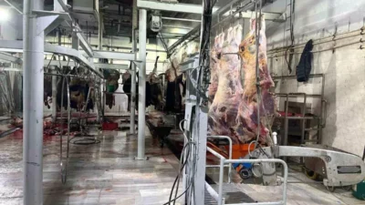 Mersin’de et skandalı gündemde kalmaya devam ediyor. Mersin’deki et sektörünün