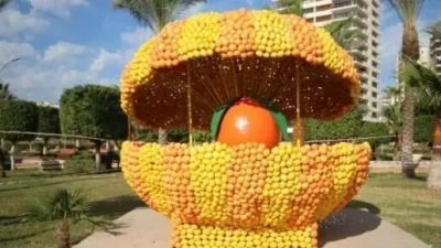 Mersin’de Kasım 2026’da düzenlenmesi planlanan Narenciye Festivali için hazırlık süreci