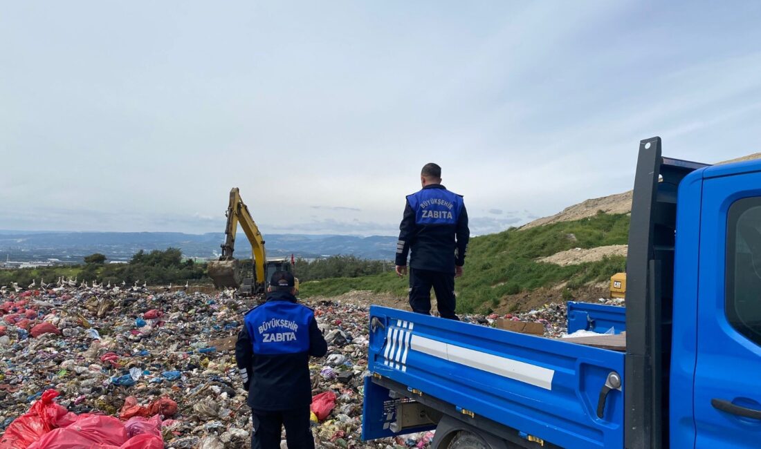 Mersin Büyükşehir Belediyesi Zabıta Daire Başkanlığı Zabıta Hizmetleri Şube Müdürlüğüne bağlı