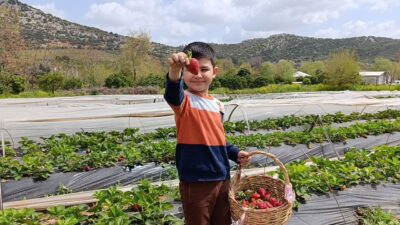 Adana’nın Kozan ilçesinde vatandaşlar, hafta sonu doğayla vakit geçirmek isterken