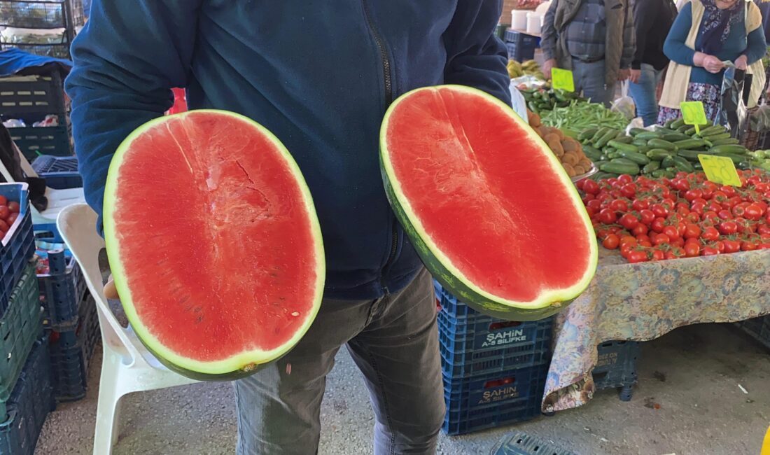 Karpuz pazara dilim dilim düştü: Kilosu 50 TL Mersin‘de sezonun ilk karpuzları pazarda satışa çıkarken, dilim dilim müşteriye