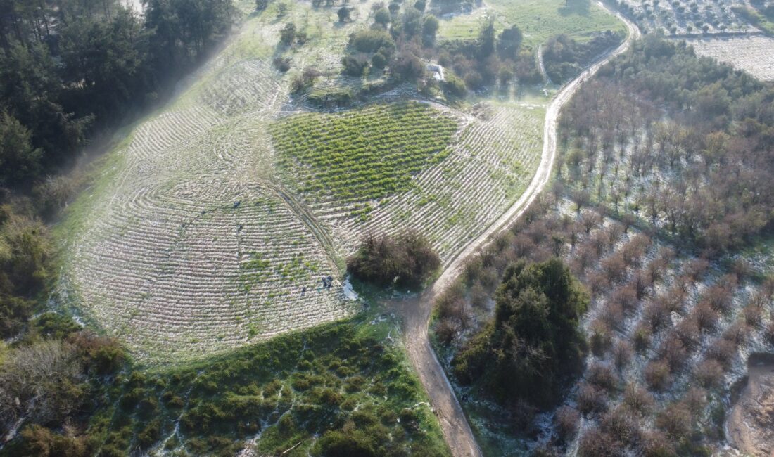 Mersin’de misket büyüklüğünde dolu etkili oldu: Orman ve bahçeler beyaza büründü Mersin’in Erdemli ilçesinde 300 rakım üzerinde bazı mahallelerde misket büyüklüğünde
