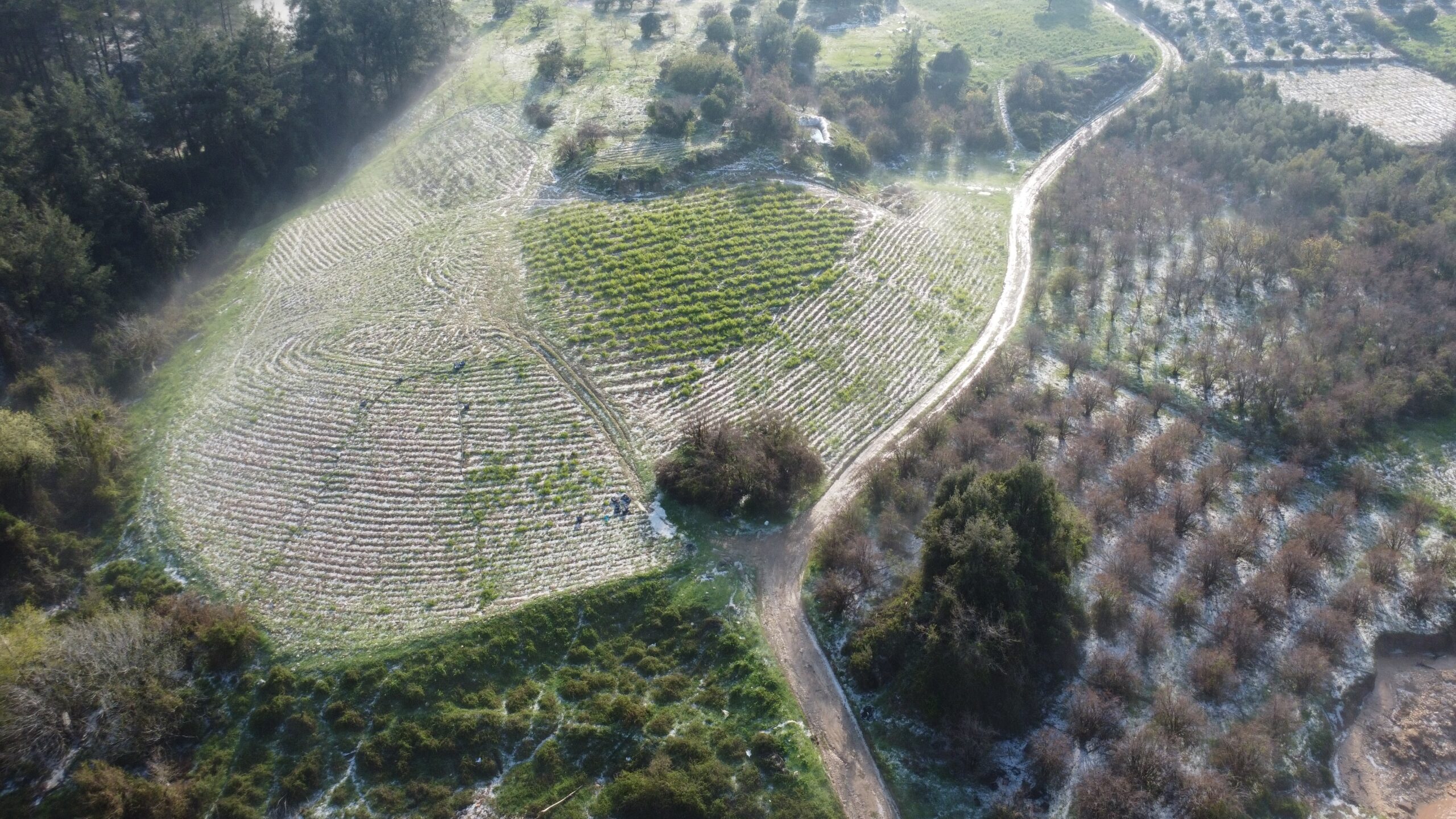 Mersin’de misket büyüklüğünde dolu etkili oldu: Orman ve bahçeler beyaza büründü