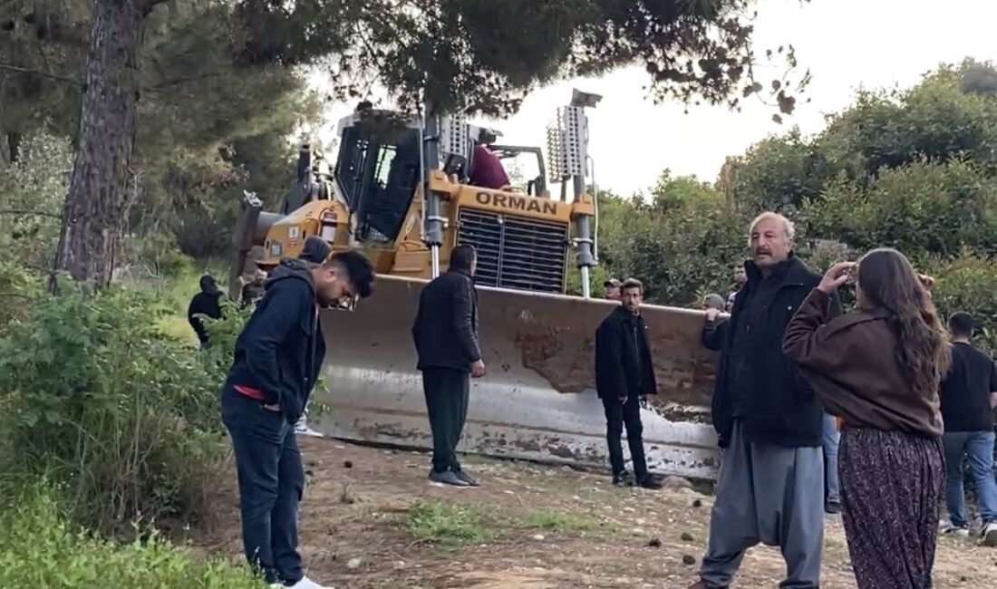 Mersin’de ormanlık alana ekili narenciye bahçelerinin kaldırılması kararına tepki Mersin’de ormanlık alana oluşturulan narenciye bahçelerinin kaldırılması kararına tepki gösteren