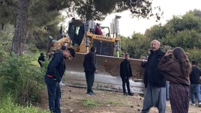 Mersin’de ormanlık alana oluşturulan narenciye bahçelerinin kaldırılması kararına tepki gösteren