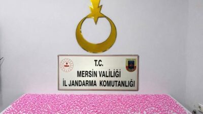 Mersin’de jandarma ekiplerinin düzenlediği operasyonda bin 350 adet uyuşturucu hap
