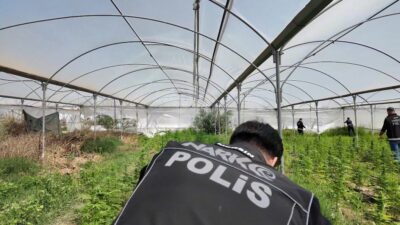 Mersin‘in Tarsus ilçesinde düzenlenen operasyonda yaklaşık 3 dönümlük arazi üzerine