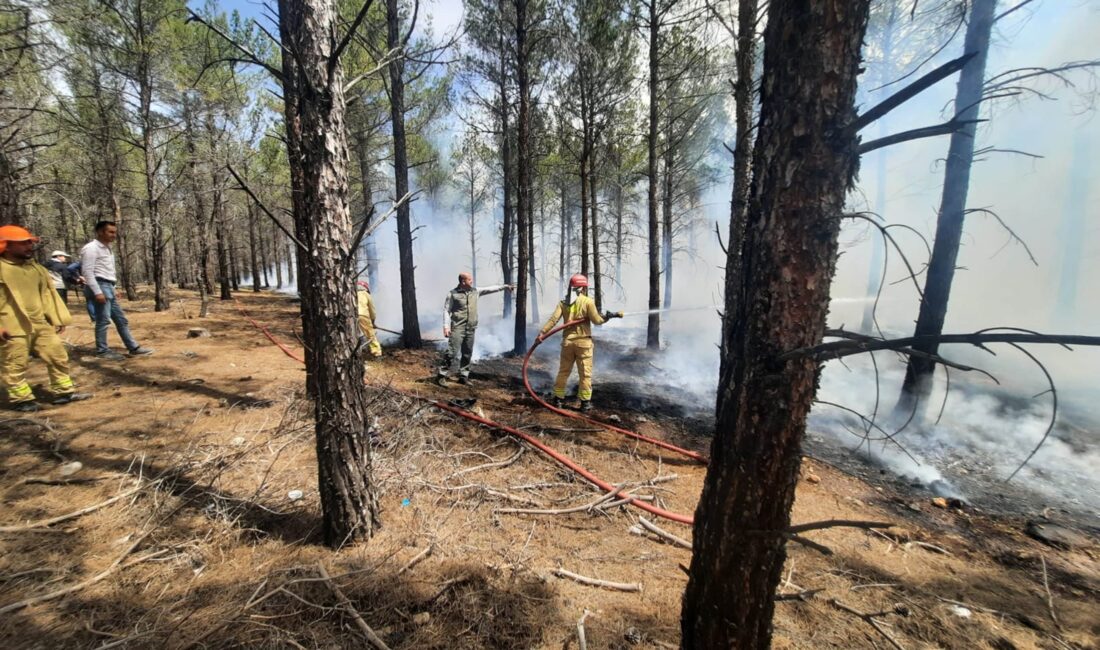 Mersin’in Mut ilçesinde tatbikat amaçlı ekipler, örtü altı yangınına anında