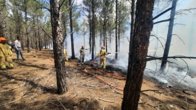 Mersin’in Mut ilçesinde tatbikat amaçlı ekipler, örtü altı yangınına anında