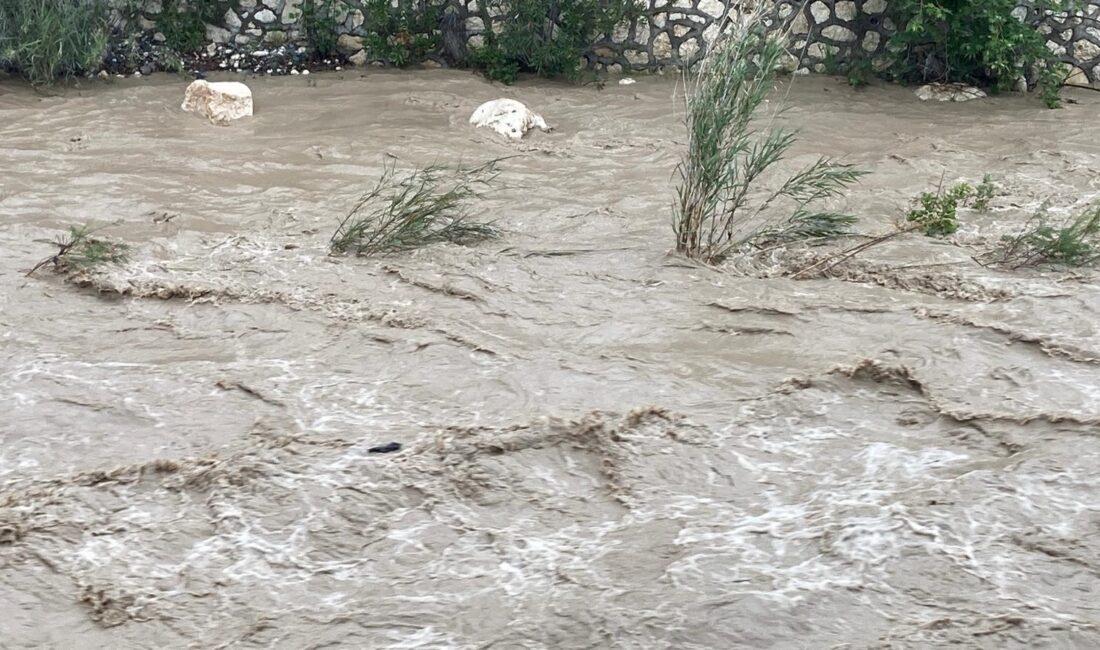 Mersin’in Silifke ilçesinde etkili olan sağanak yağış hayatı olumsuz etkiledi.