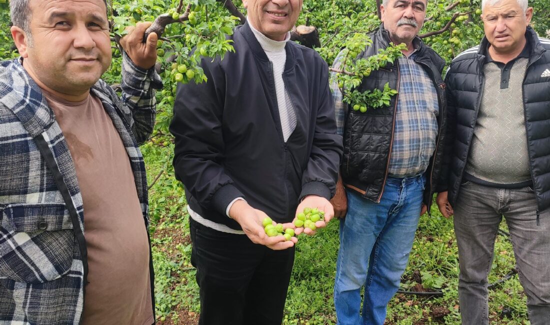Mersin’in Silifke ilçesine bağlı yüksek rakımlı bölgelerde etkili olan dolu