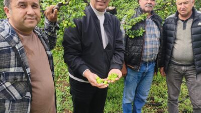 Mersin’in Silifke ilçesine bağlı yüksek rakımlı bölgelerde etkili olan dolu