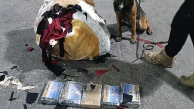 Mersin’de polis ekiplerince düzenlenen uyuşturucu operasyonunda bir işyerinde yapılan aramada