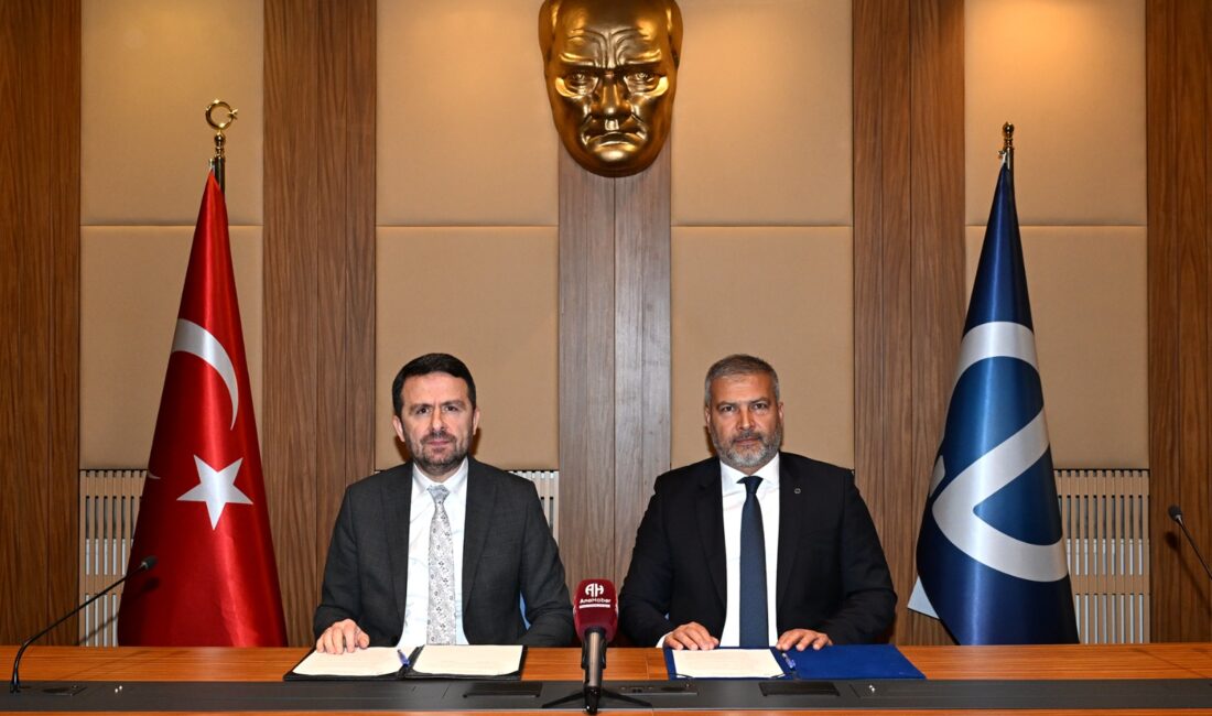 Protokolle, eğitim ve staj programlarından akademik çalışmalara, araştırma projelerinden ortak