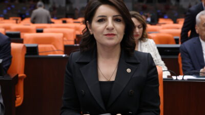 CHP Mersin Milletvekili Gülcan Kış, Türkiye Büyük Millet Meclisi Genel