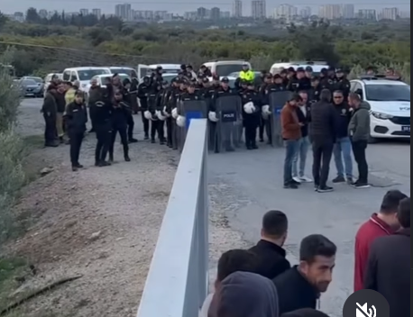 AĞAÇLARIN SÖKÜLMESİNE KARŞI!