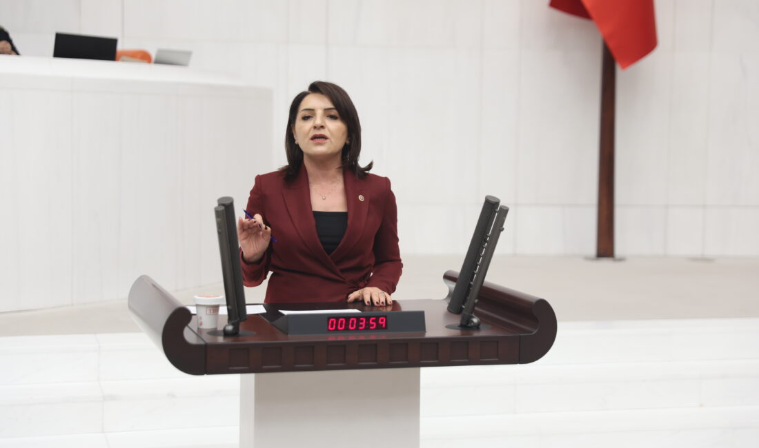 CHP Mersin Milletvekili Gülcan Kış, TBMM Genel Kurulu’nda görüşülen torba