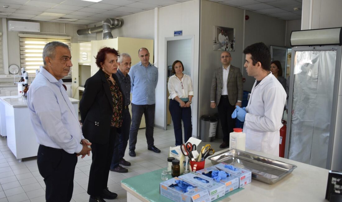 Mersin Büyükşehir Belediyesi Su ve Kanalizasyon İdaresi (MESKİ) Genel Müdürlüğü