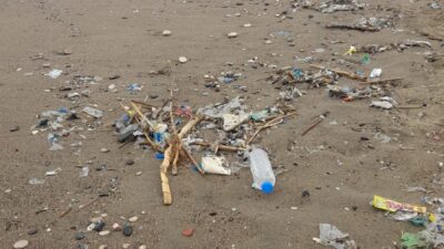 Mersin’de sahil kirliliği endişe verici boyutlara ulaştı. Kentte bulunan Denizhan