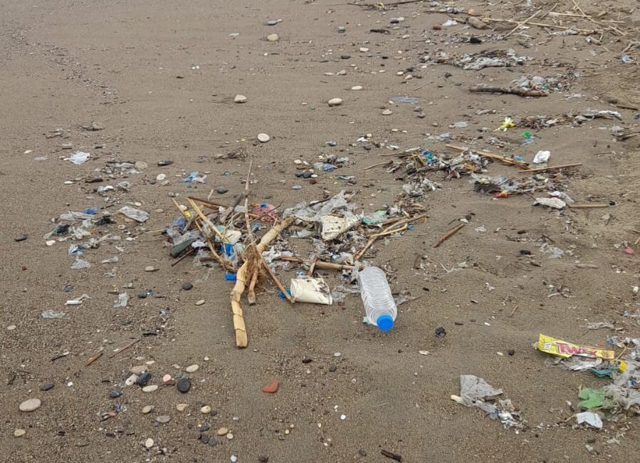 Mersin’de sahil kirliliği endişe verici boyutlara ulaştı. Kentte bulunan Denizhan