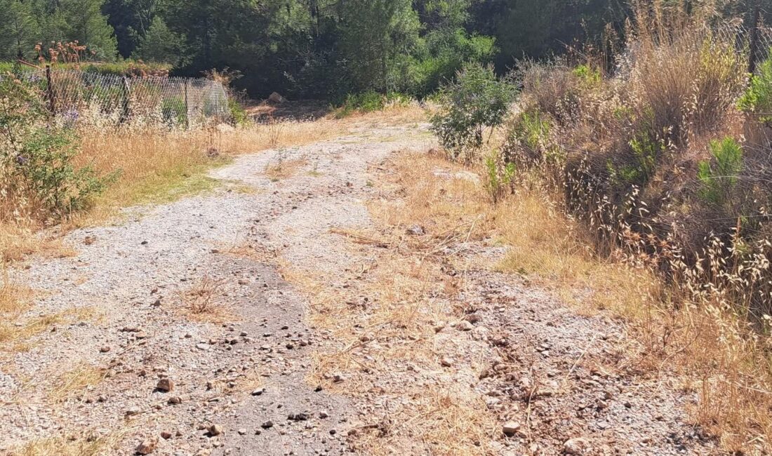 Mersin’in Gülnar ilçesine bağlı Beydili Mahallesi’nde bulunan Pambucak Mezarlığı’na ulaşım