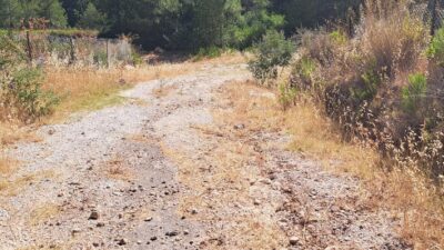 Mersin’in Gülnar ilçesine bağlı Beydili Mahallesi’nde bulunan Pambucak Mezarlığı’na ulaşım