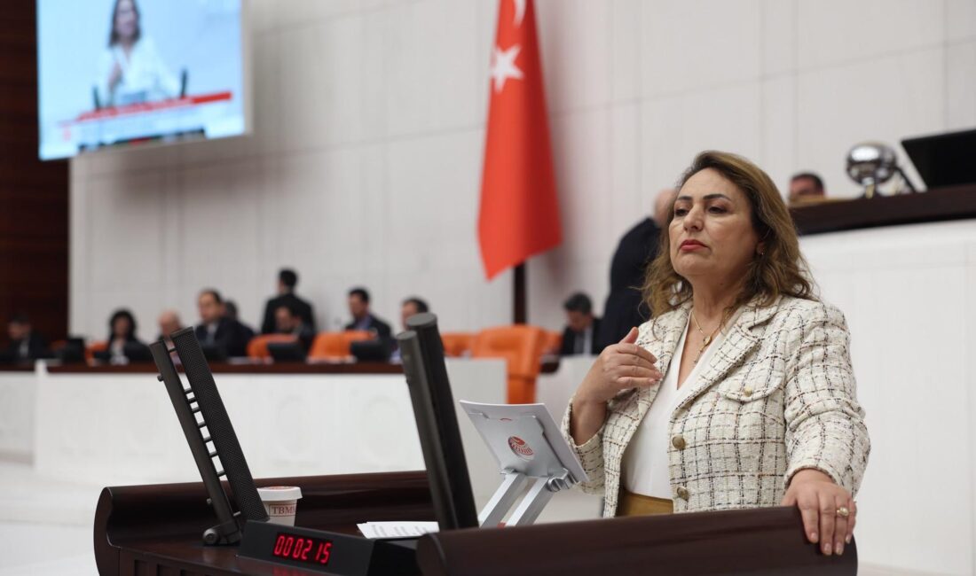 “Ev kadınları sosyal güvence kapsamına alınmalıdır” CHP Adana Milletvekili, TBMM Başkanlık Divanı Üyesi Dr. Müzeyyen Şevkin,