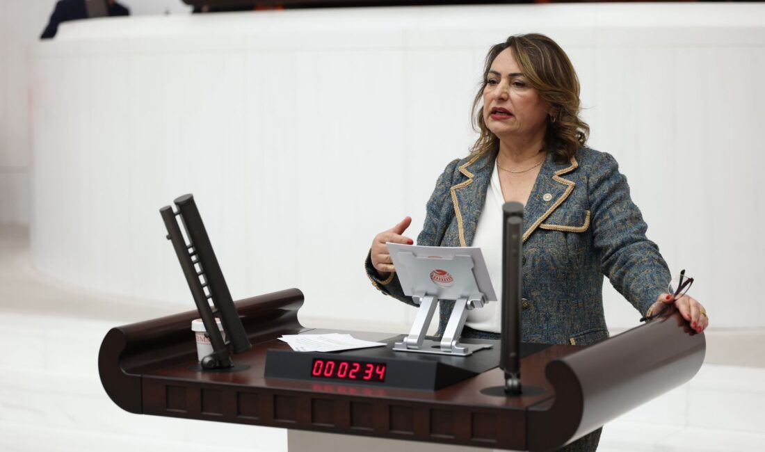 ‘Hurda Teşvik Yasası Teklifi’, TBMM’den geçmedi! CHP Adana Milletvekili, TBMM Başkanlık Divanı Üyesi Dr. Müzeyyen Şevkin,