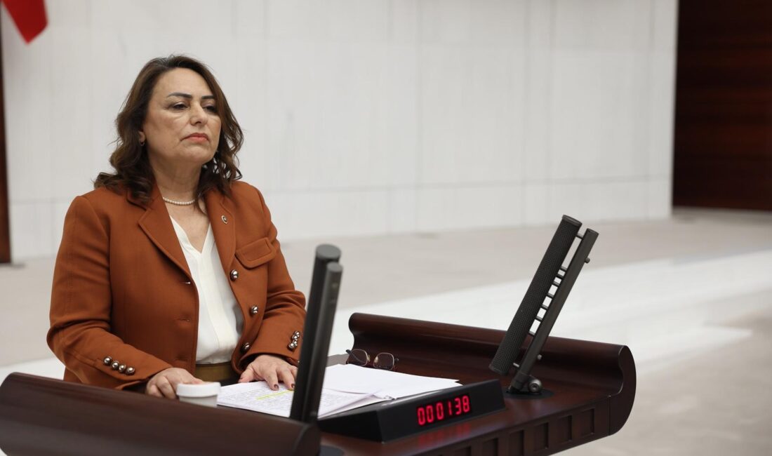 CHP Adana Milletvekili, TBMM Başkanlık Divanı Üyesi Dr. Müzeyyen Şevkin,