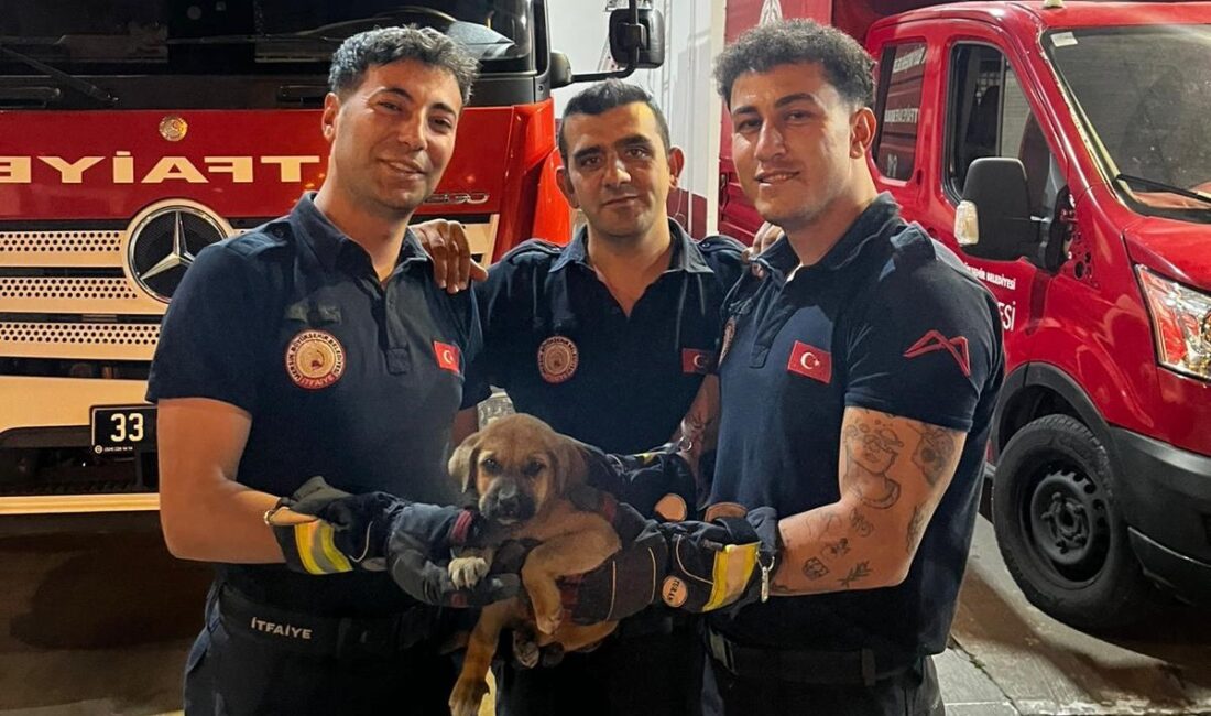 Mersin‘de bir otomobilin motor bölümüne sıkışan yavru köpek, itfaiye ekiplerinin