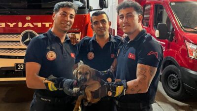 Mersin‘de bir otomobilin motor bölümüne sıkışan yavru köpek, itfaiye ekiplerinin