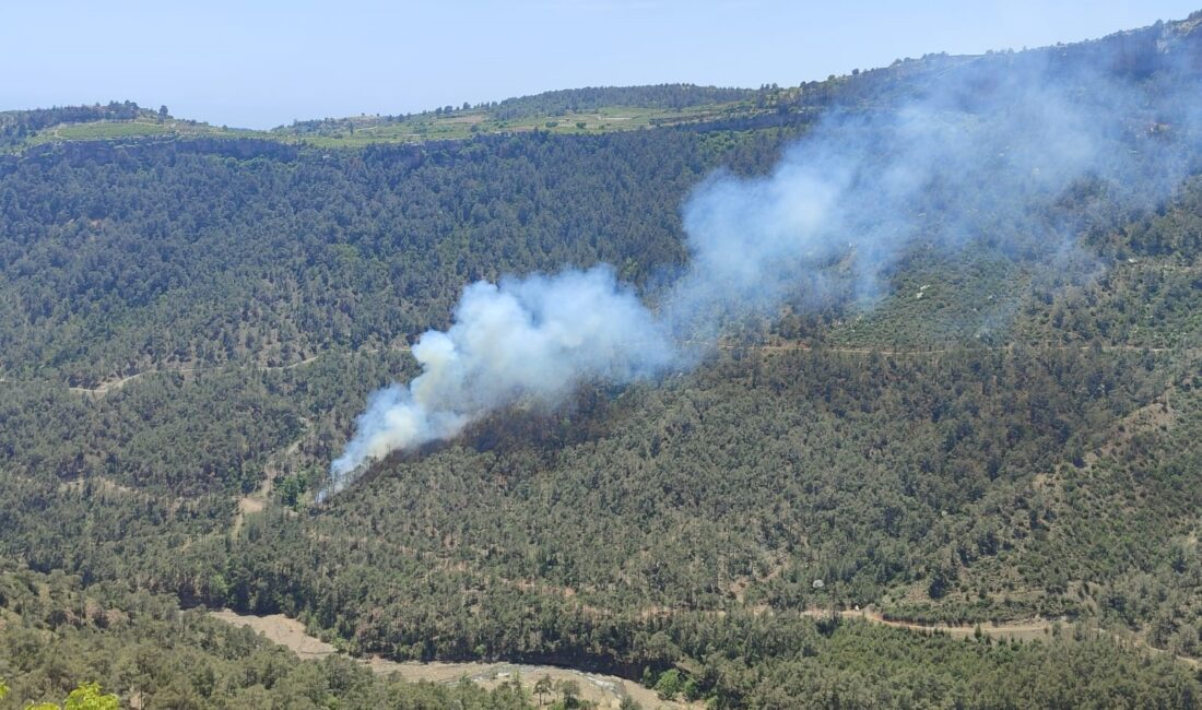 Mersin’in Erdemli ilçesinde ormanlık alanda çıkan yangın ekiplerin müdahalesiyle kontrol