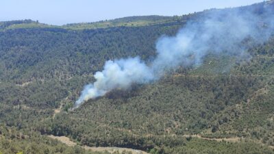 Mersin’in Erdemli ilçesinde ormanlık alanda çıkan yangın ekiplerin müdahalesiyle kontrol