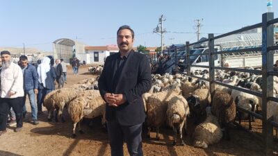 Türkiye’nin en büyük hayvan pazarları arasında yer alan Şanlıurfa’daki pazarda