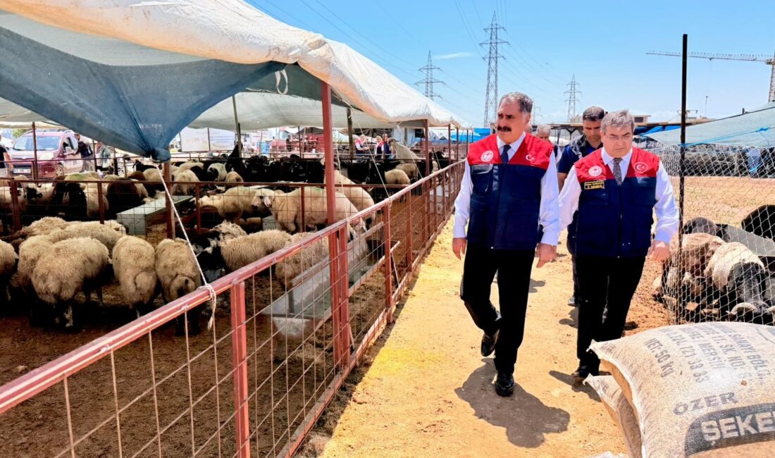 Mersin’de Kurban Bayramı öncesi satış noktalarında sıkı denetim Mersin’de Kurban Bayramı öncesi vatandaşların güvenli, huzurlu ve hijyenik ortamda