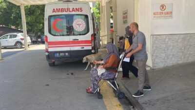 Mersin‘in Erdemli ilçesinde topladıkları mantarı yiyen 7 kişi zehirlenme şüphesiyle