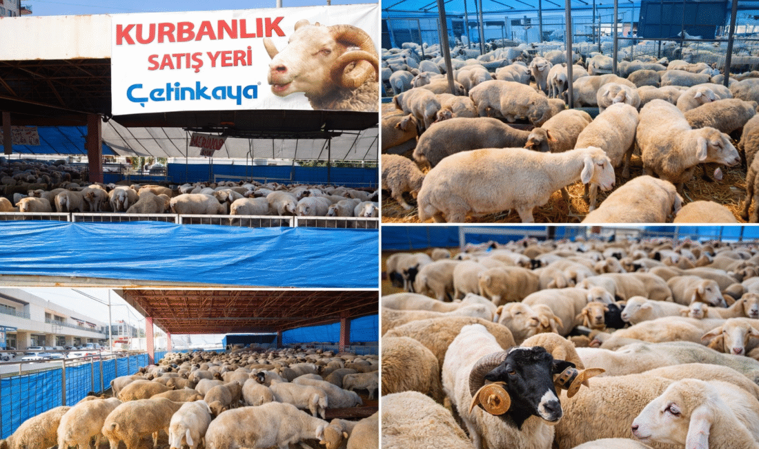 Türkiye’nin köklü perakende markalarından Çetinkaya, Kurban Bayramı’na özel sunduğu hizmetlerle
