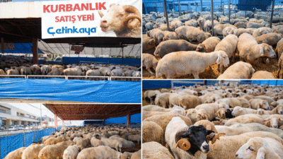 Türkiye’nin köklü perakende markalarından Çetinkaya, Kurban Bayramı’na özel sunduğu hizmetlerle